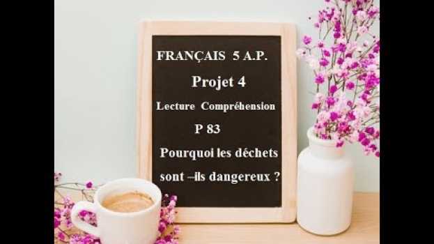 Video Pourquoi les déchets sont - ils dangereux ? LECTURE:Manuel 5AP : P83   türkçe