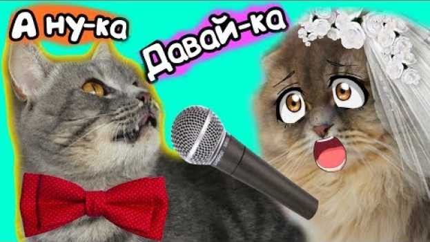 Video А ну-ка Давай-ка песня кота Макса. Премьера клипа. su italiano