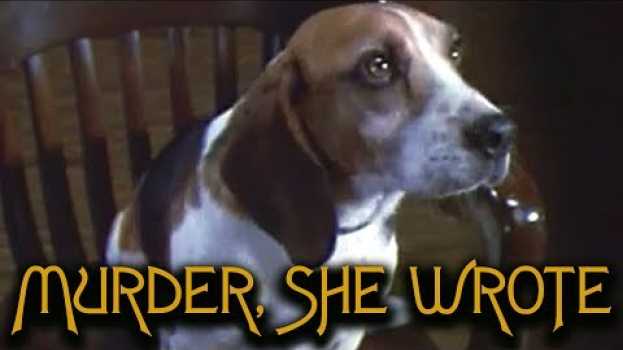 Video That Time Murder, She Wrote's Murderer Was a Dog en español