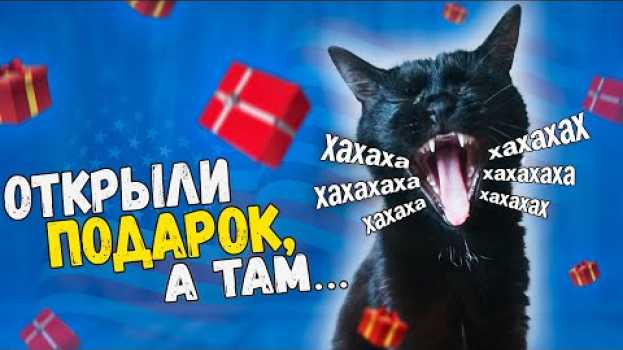 Video РАСПАКОВКА посылки из Америки (США). МЫ В ШОКЕ! / SANI vlog en français