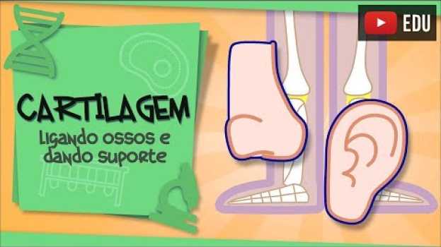 Video Tecido Cartilaginoso - rígido e flexível ao mesmo tempo   türkçe