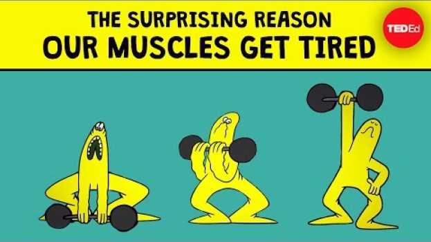 Video The surprising reason our muscles get tired - Christian Moro po polsku