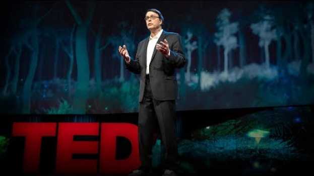 Video How will we survive when the population hits 10 billion? | Charles C. Mann auf Deutsch