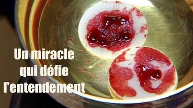 Video Ce miracle eucharistique que la science ne peut expliquer su italiano
