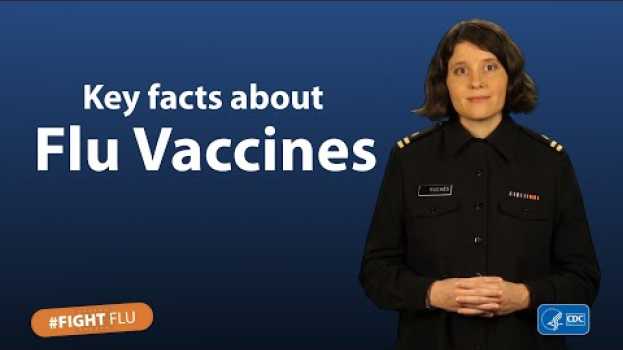 Video Key Facts about Flu Vaccines   türkçe