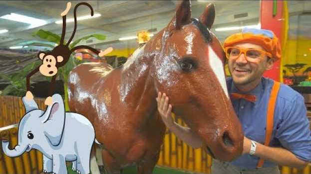 Video Blippi Learns about Jungle Animals for Kids | Educational Videos for Toddlers auf Deutsch