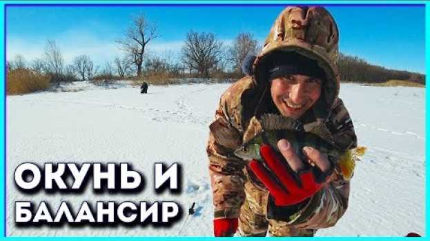 Video Поехал за щукой с жерлицами, а меня научили ловить окуня на балансир. po polsku