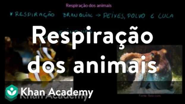 Video Respiração dos animais   türkçe