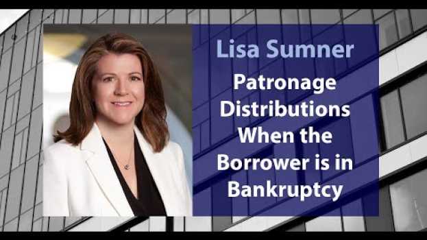 Video Patronage Distributions When the Borrower is in Bankruptcy em português