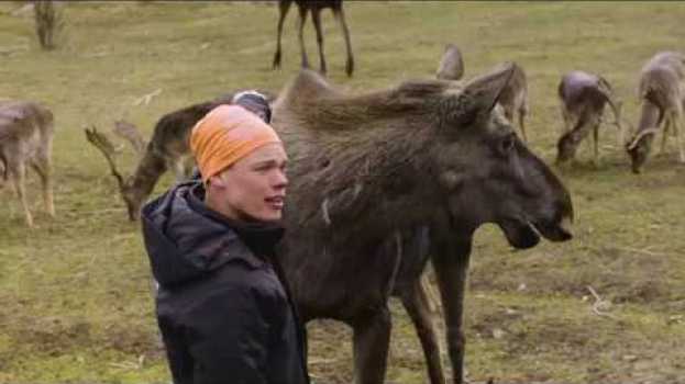 Видео  на русском