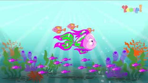 Video PEIXINHO - MEDITAÇÃO GUIADA INFANTIL - CANTINHO DOS SONHOS VOL.1 su italiano