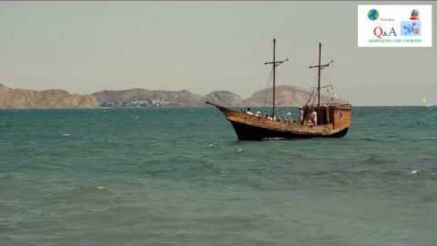 Video Who wrote “The Old Man and The Sea”? po polsku