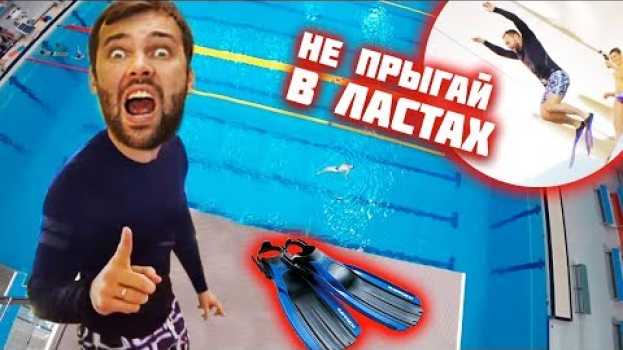Video ЧТО ЕСЛИ ПРЫГНУТЬ В ЛАСТАХ С 10 МЕТРОВ | Прыжки в воду челлендж su italiano