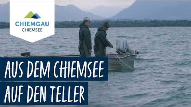 Video Auf Renkenjagd am Chiemsee in English