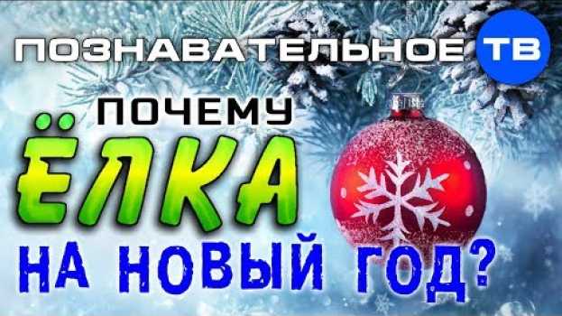 Video Почему мы украшаем ЁЛКУ на НОВЫЙ ГОД? (Познавательное ТВ, Артём Войтенков)   türkçe