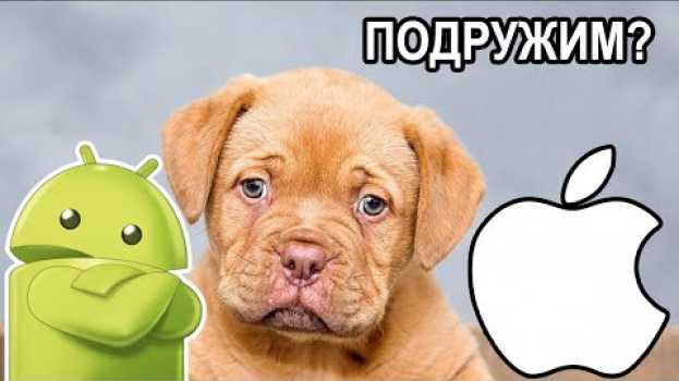 Video ⚡ Android и iOS. Они могут дружить su italiano