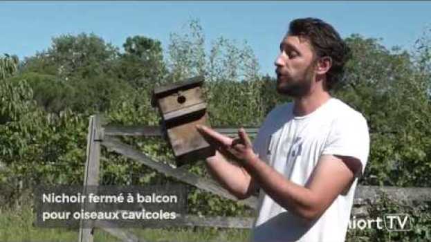 Video Jardiner au naturel #2- Accueillir les oiseaux au jardin auf Deutsch