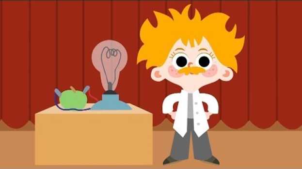 Video Cosa c'è nell'armadio? Il Saggio, lo spettacolo di fine anno - Cartoni animati en français