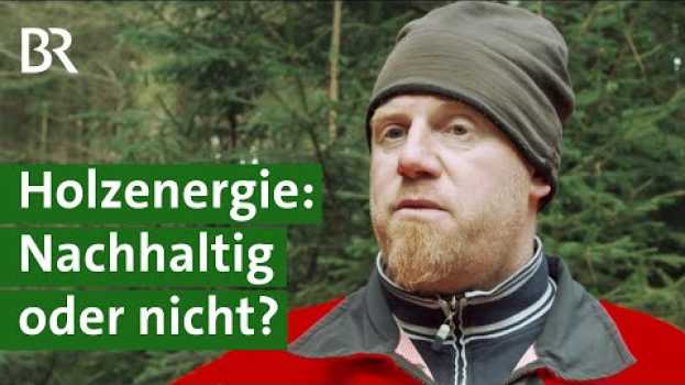 Video Heizen mit Hackschnitzeln: Gute Klimabilanz oder Raubbau im Wald? | Energiewende | Unser Land | BR en español