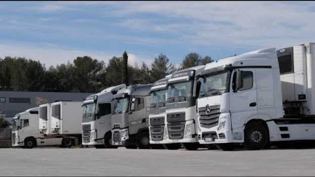 Video Magicpalet : « On peut réduire les émissions de CO2 en limitant le transport des palettes en bois »   türkçe