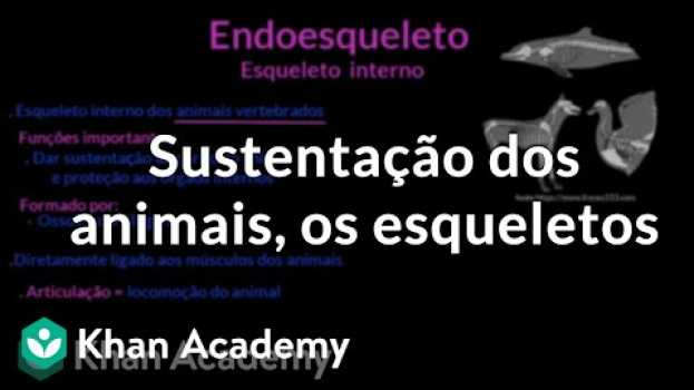 Video Sustentação dos animais, os esqueletos auf Deutsch
