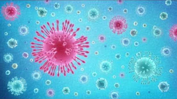 Video What Is Coronavirus (COVID-19)? su italiano