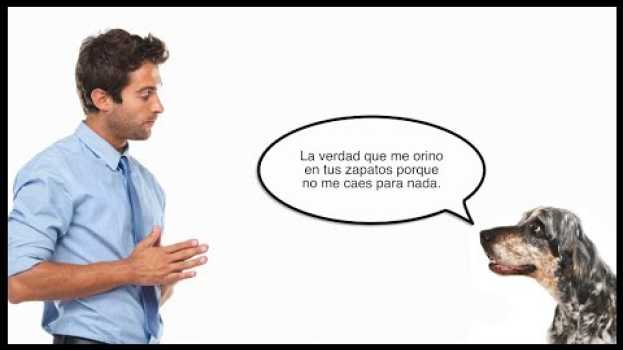 Video ¿Podremos algún día hablar con otros animales? su italiano