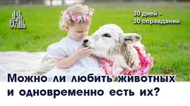 Video Можно ли любить животных и при этом есть их? (Оправдание №1) in English