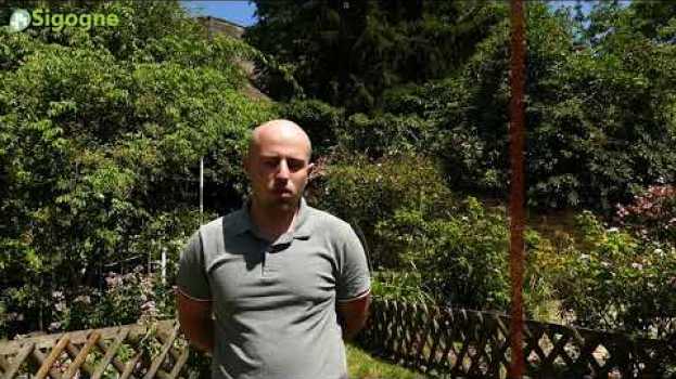 Video Sigogne s'envole : Le traitement des données em português