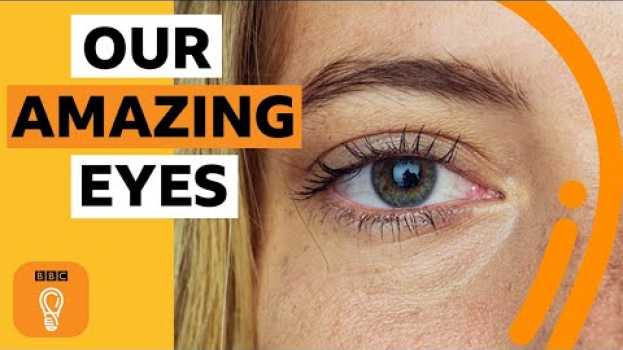 Video What do our eyes say about us? | BBC Ideas auf Deutsch