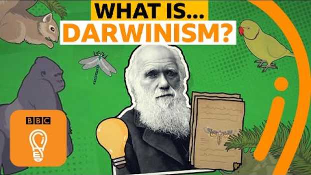 Video Charles Darwin's theory of evolution explained | A-Z of ISMs Episode 4 - BBC Ideas auf Deutsch
