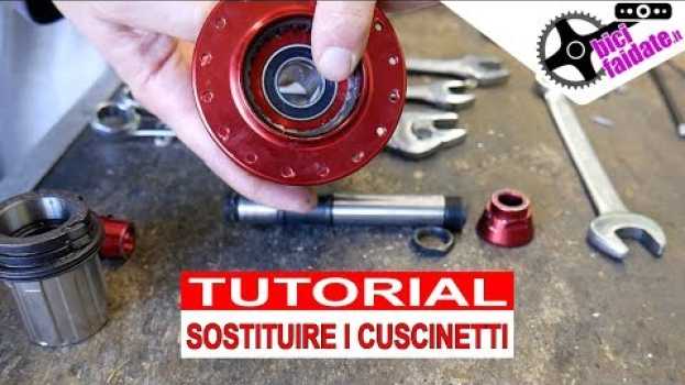 Video COME SOSTITUIRE I CUSCINETTI SUL MOZZO MTB in English