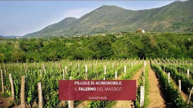 Video Il Falerno del Massico | Il Vino degli Imperatori romani   türkçe