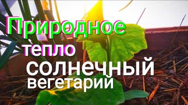Video Пока ты думаешь другие уже пользуются. Солнечный вегетарий , принцип работы. en français