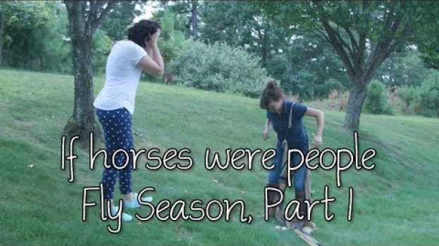 Video If horses were people - Fly season, Part 1 en español