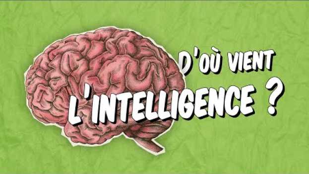 Video Psychologie - L'intelligence est-elle naturelle ou culturelle ?   türkçe