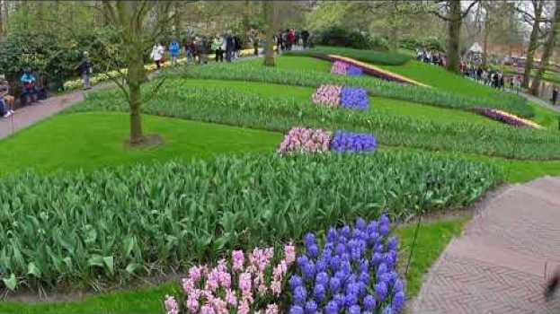Video Episode 35 : Visite du Keukenhof su italiano