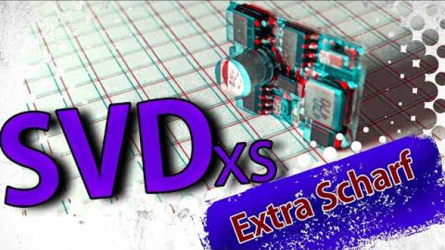 Video SVDxs - Kleinvieh macht auch Spaß in English