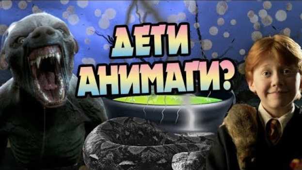 Video Анимаг Может Родить Зверя? Гарри Поттер Теория en français