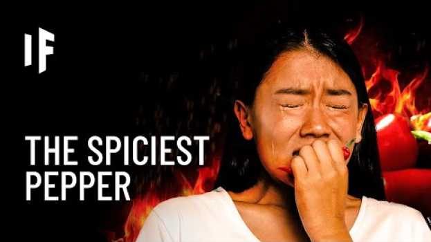Video What If You Ate the Spiciest Pepper in the World? po polsku