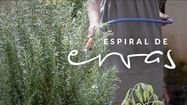 Video Jardim das Ideias #13: Espiral de ervas su italiano