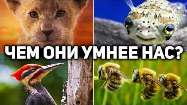 Video 10 УРОКОВ МУДРОСТИ ОТ ПРИРОДЫ , КОТОРЫЕ СТОИТ ВЫУЧИТЬ КАЖДОМУ auf Deutsch