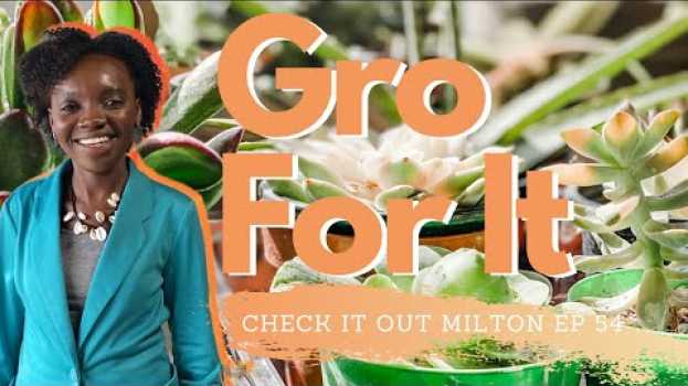 Video Gro For It | Embrace a Plant Filled Life on Check It Out Milton ep 54   türkçe