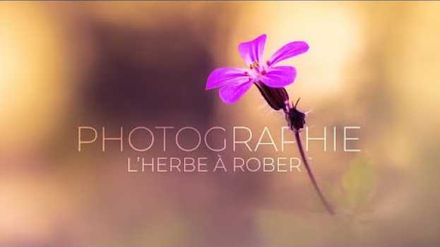 Video PHOTOGRAPHIER UNE FLEUR - Je vous donne 3 astuces! en español