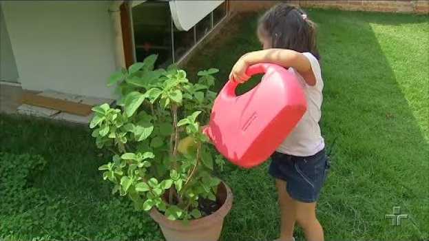 Видео Como aprender desde cedo a cuidar bem do nosso planeta? на русском