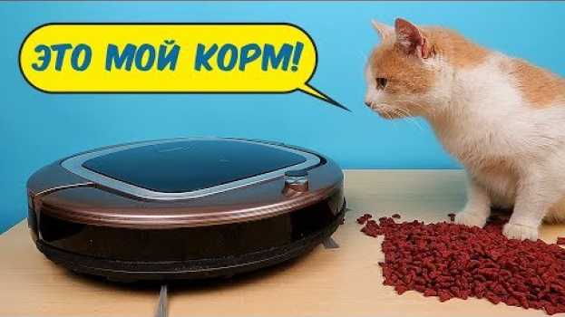 Video Новый Робот Пылесос Midea против кошачьего корма и шерсти! Midea  VCR06 / VCR07 en español