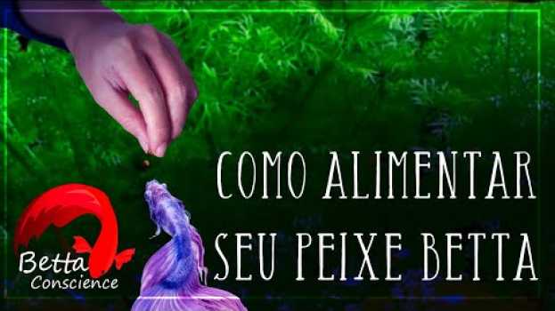Video Como Alimentar seu Peixe Betta en français