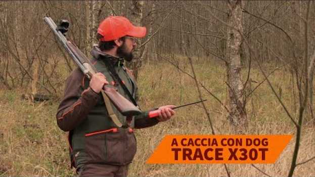 Video A caccia con il palmare GPS Dog Trace X30T da C&C Hunting em português
