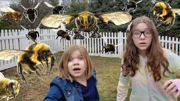 Video THE BEES ARE COMING. po polsku