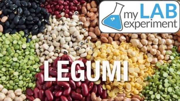 Video ANTI NUTRIENTI? I legumi ne contengono tanti? in English